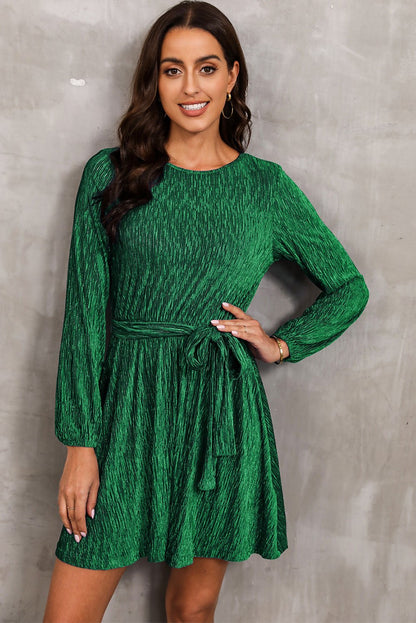 Elegant Round Neck Tie Front Long Sleeve Dress - adritiX