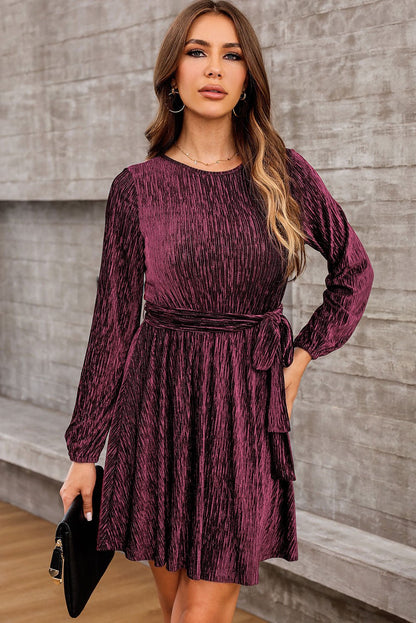 Elegant Round Neck Tie Front Long Sleeve Dress - adritiX