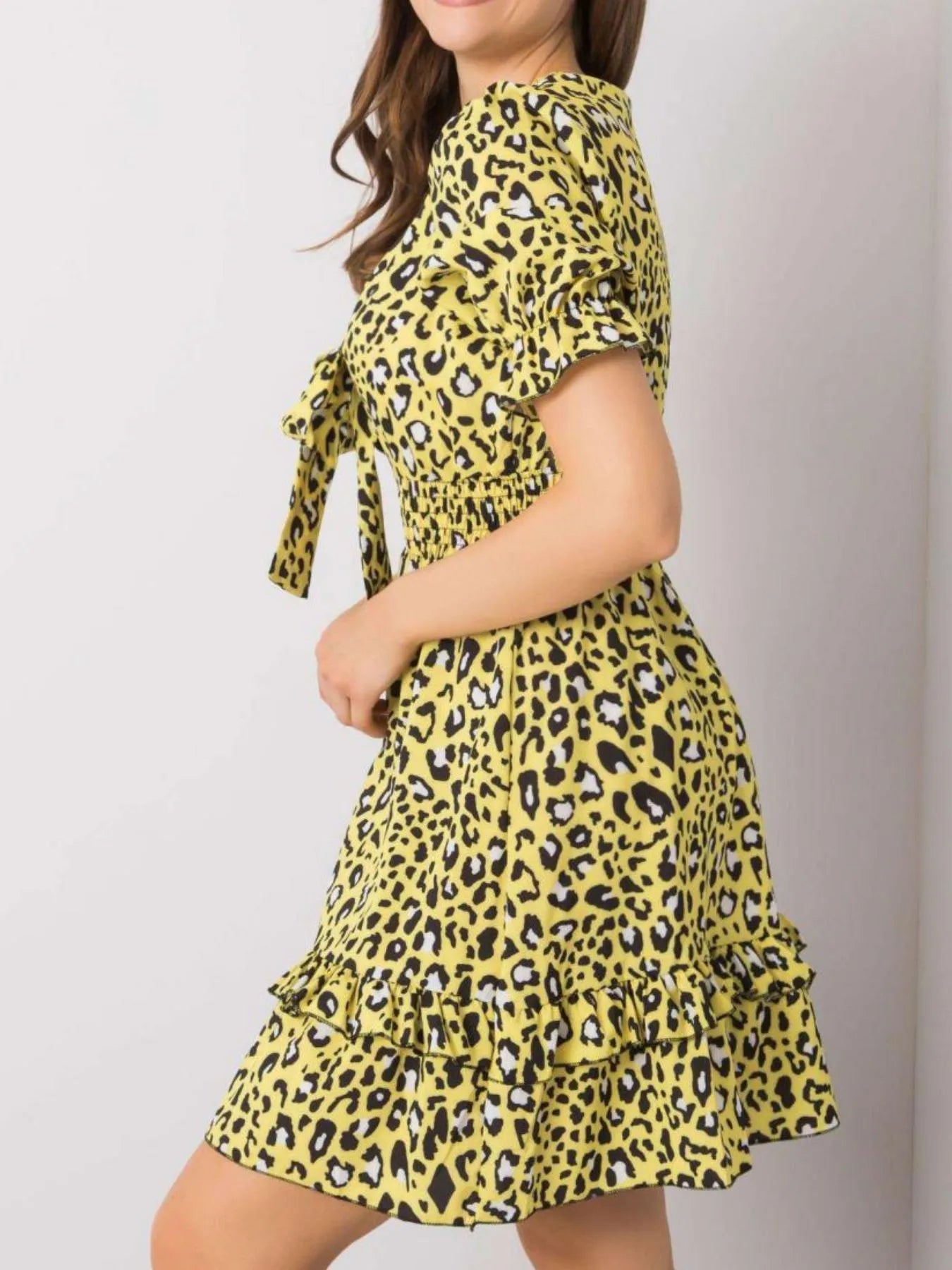 Leopard Print Tie Front Short Sleeve Mini Dress - adritiX
