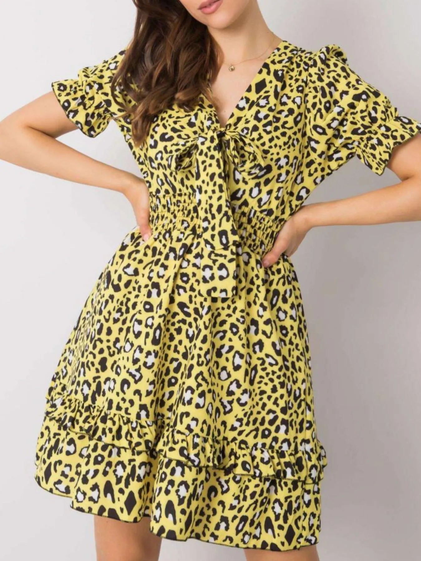 Leopard Print Tie Front Short Sleeve Mini Dress - adritiX