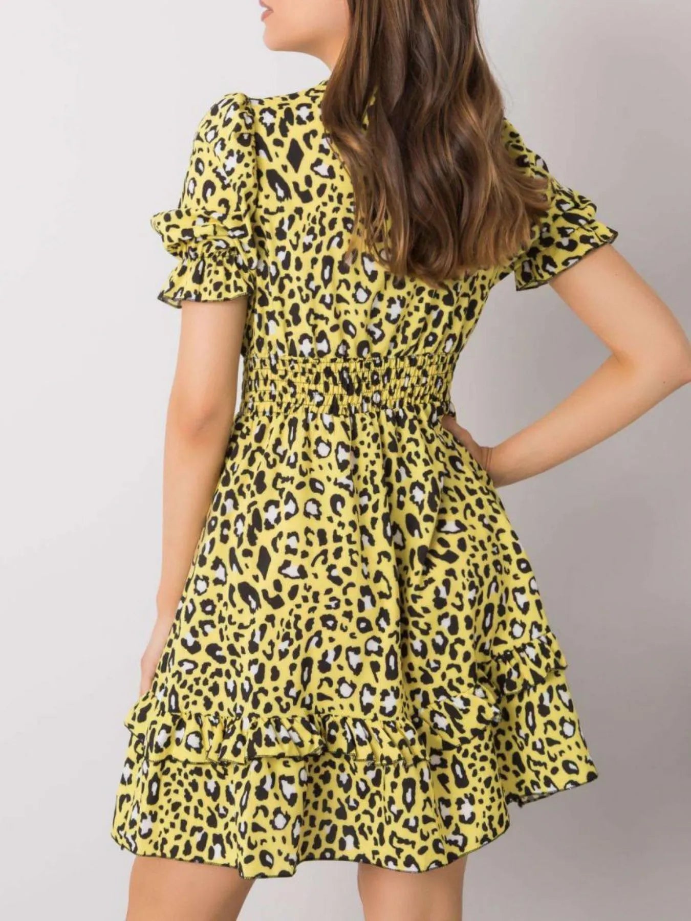Leopard Print Tie Front Short Sleeve Mini Dress - adritiX